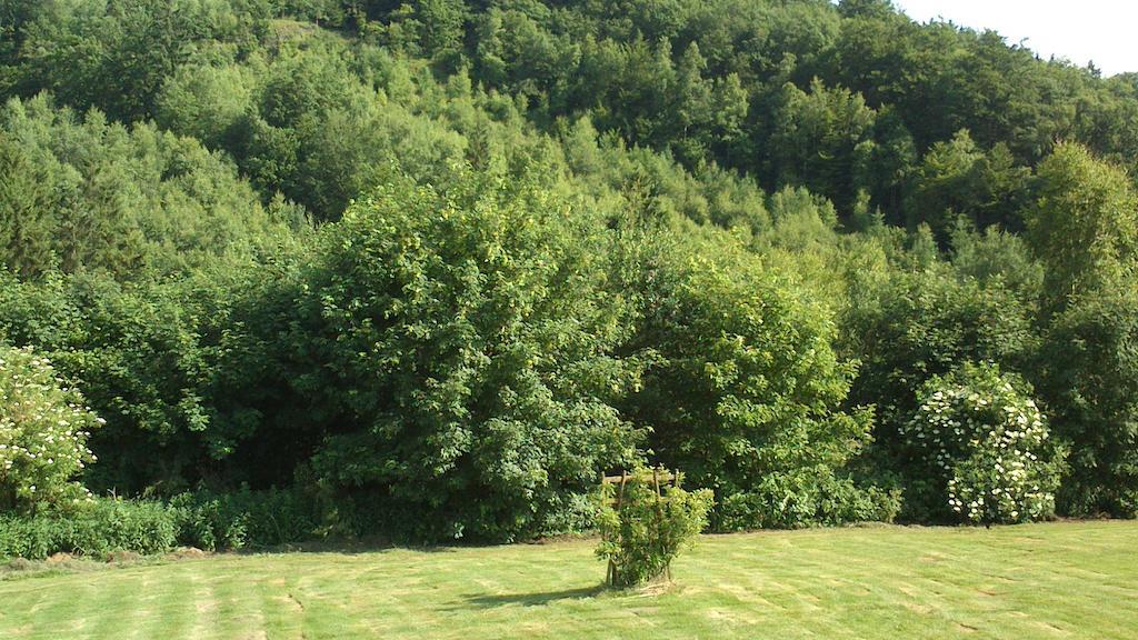 Вилла La Cle Des Champs Bertogne Экстерьер фото