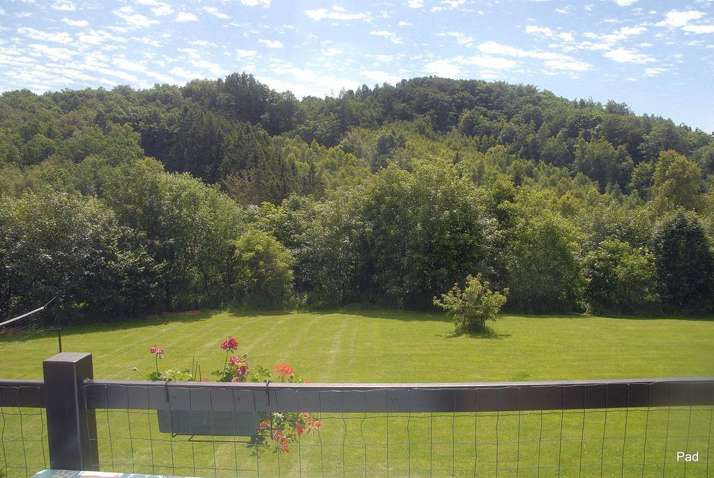 Вилла La Cle Des Champs Bertogne Экстерьер фото